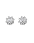 6.90 carat Rosecut and Round Diamond Earring